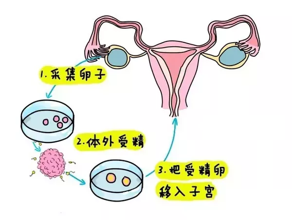 上海的四大咨询公司